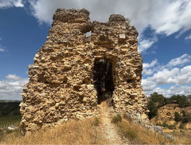 Castillo de los Condes de Saldaña, Spain